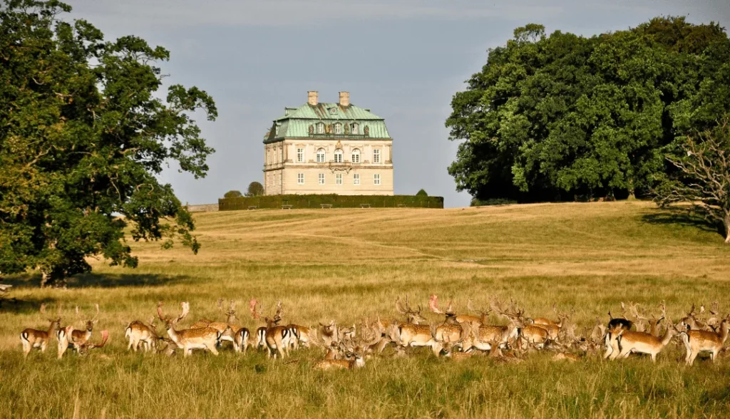 Dyrehaven (Deer Park)