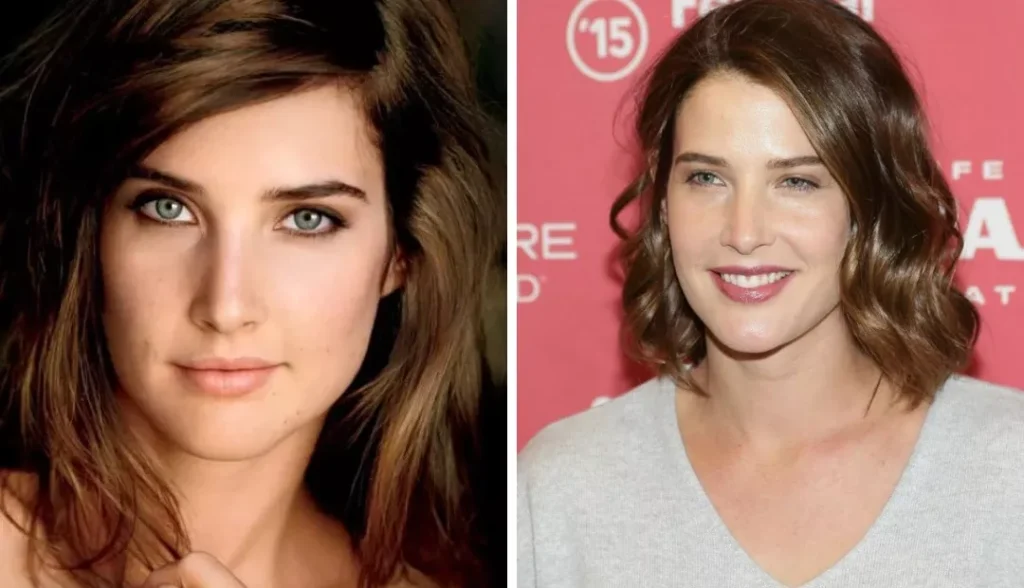 Cobie Smulders