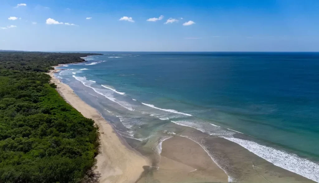 Playa Avellanas