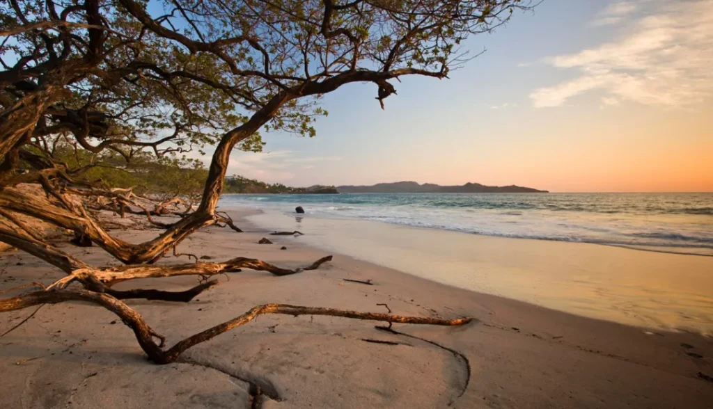 Playa Flamingo